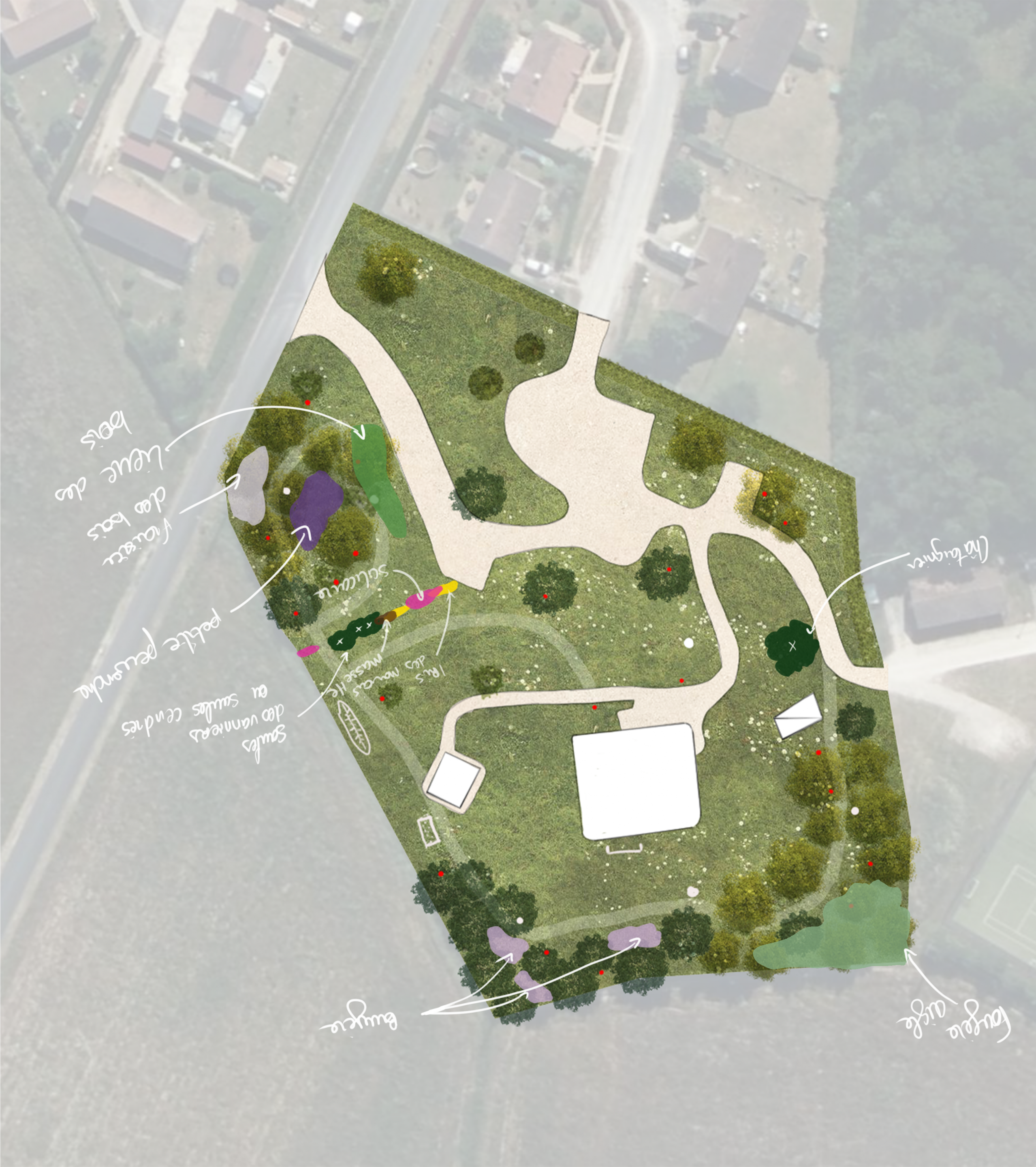 Renforcement de la palette végétale